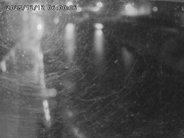 日野川４2025/12/13 3:40:00