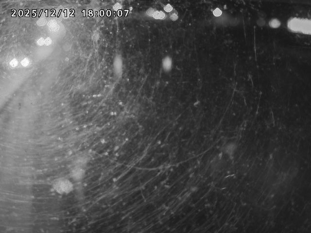 日野川４2025/12/13 3:40:00