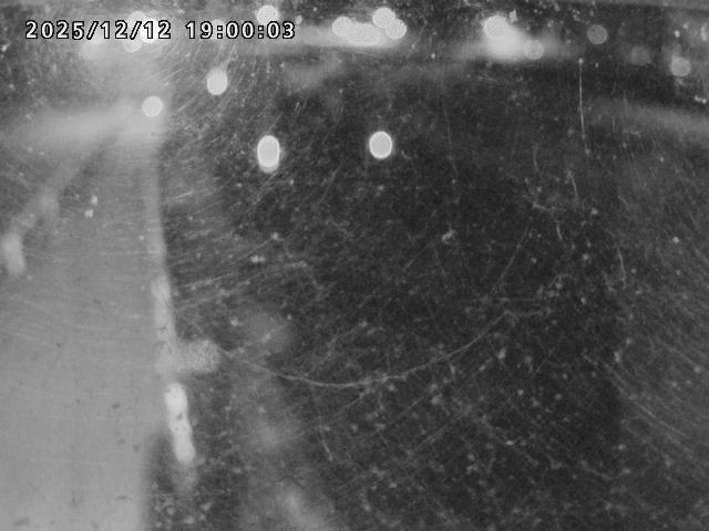 日野川４2025/12/13 3:40:00