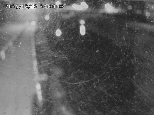 日野川４2025/12/13 3:40:00