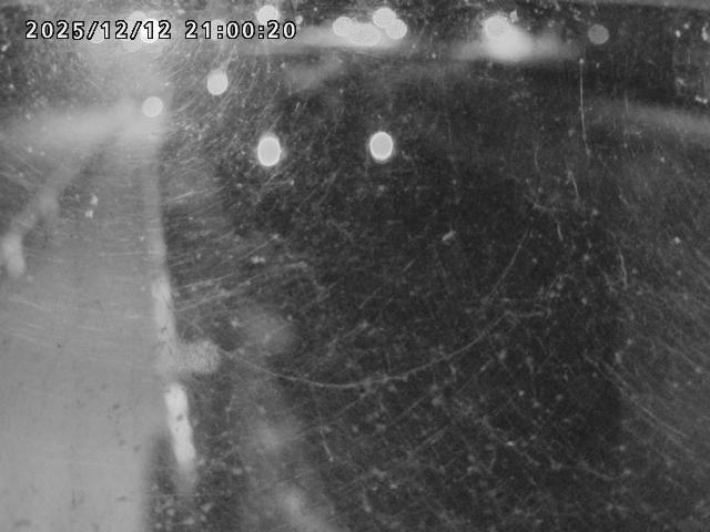 日野川４2025/12/13 3:40:00