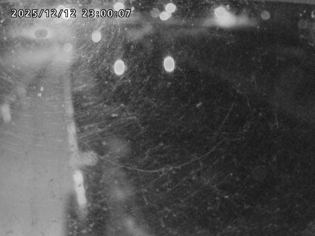 日野川４2025/12/13 3:40:00