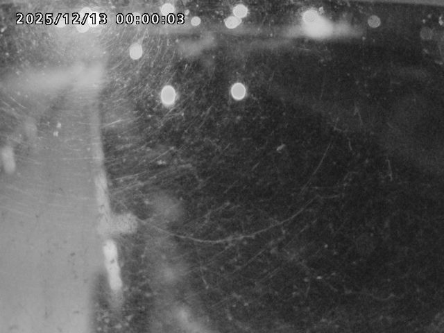 日野川４2025/12/13 3:40:00