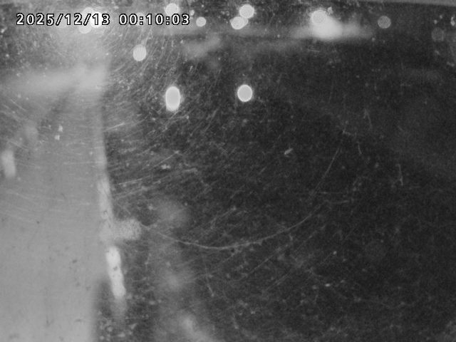 日野川４2025/12/13 3:40:00