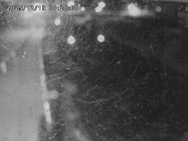 日野川４2025/12/13 3:40:00