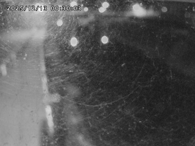 日野川４2025/12/13 3:40:00