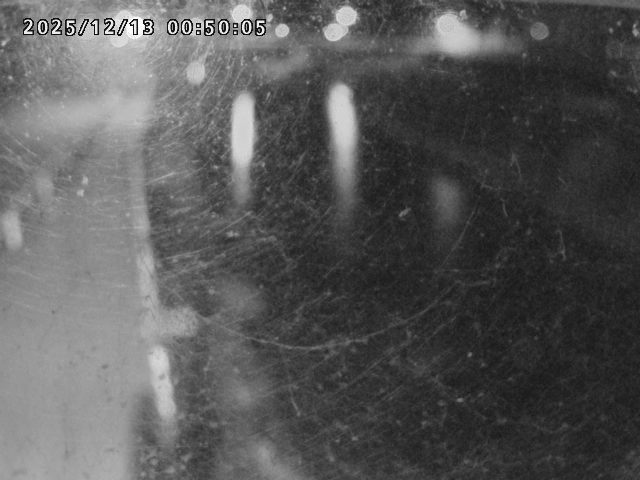 日野川４2025/12/13 3:40:00