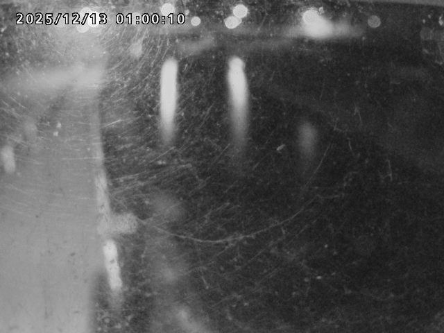 日野川４2025/12/13 3:40:00