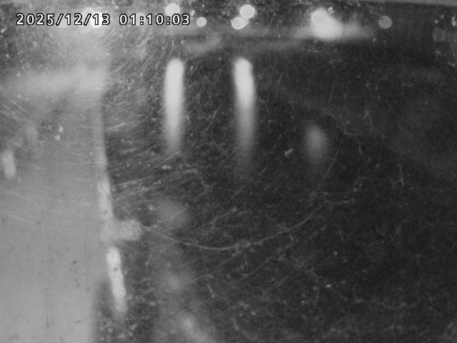 日野川４2025/12/13 3:40:00