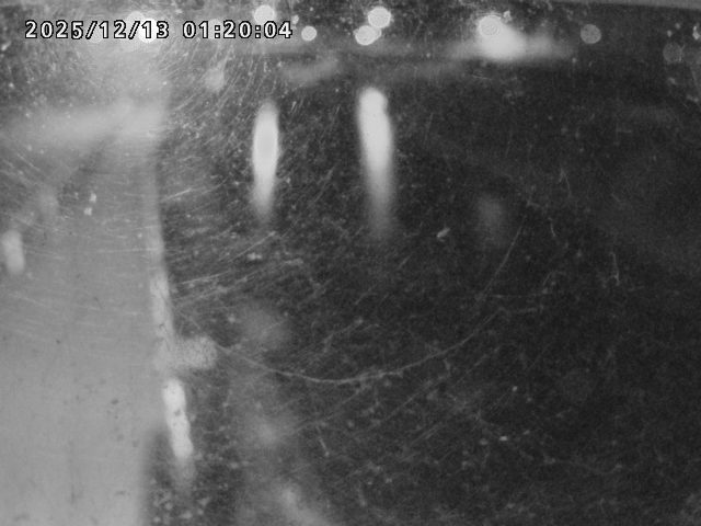 日野川４2025/12/13 3:40:00