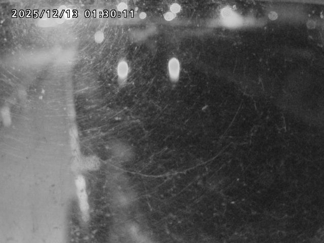 日野川４2025/12/13 3:40:00