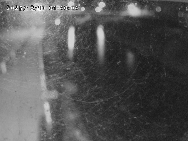 日野川４2025/12/13 3:40:00