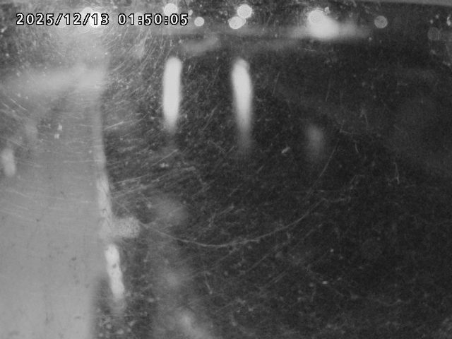 日野川４2025/12/13 3:40:00