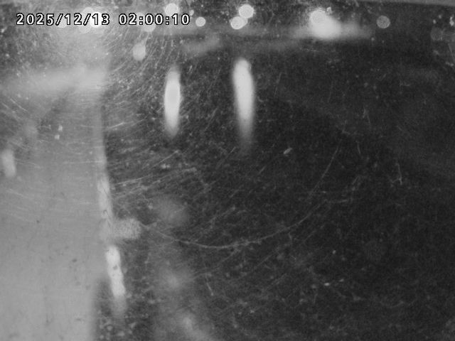 日野川４2025/12/13 3:40:00