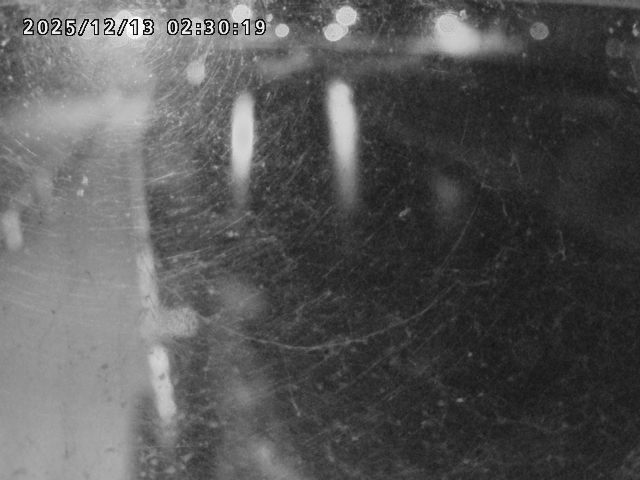 日野川４2025/12/13 3:40:00