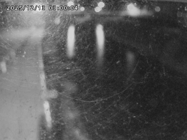 日野川４2025/12/13 3:40:00