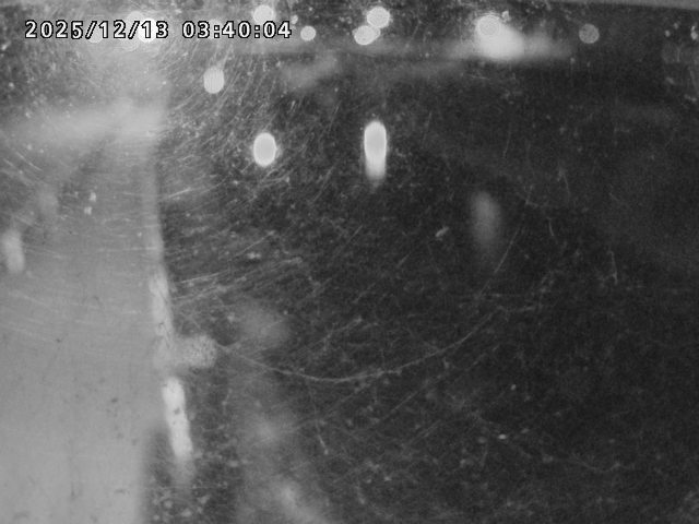 日野川４2025/12/13 3:40:00