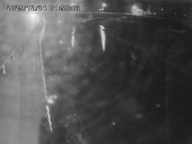 日野川４2025/12/24 3:50:00