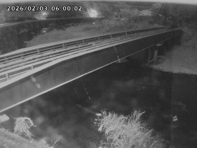 日野川９2026/02/03 13:30:00