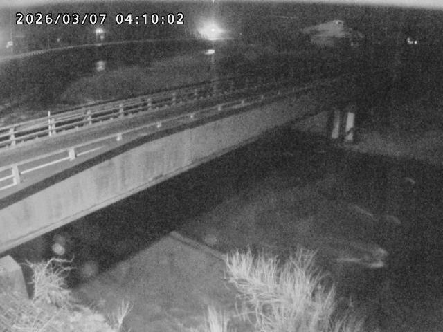 日野川９2026/03/07 6:30:00