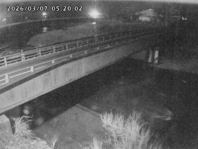 日野川９2026/03/07 6:30:00