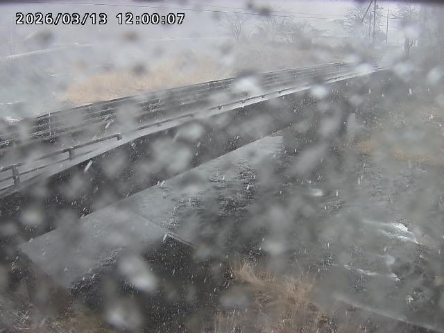 日野川９2026/03/14 10:00:00