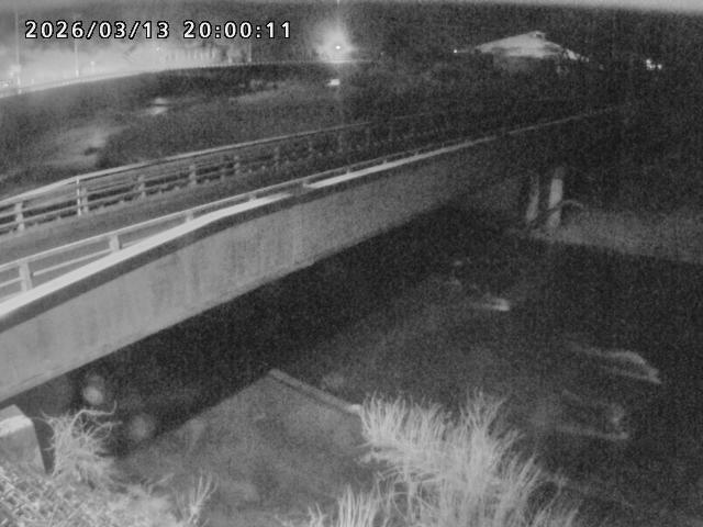 日野川９2026/03/14 10:00:00