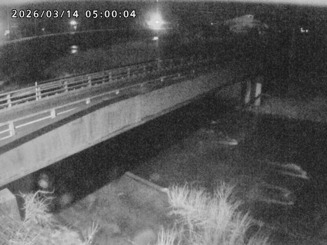 日野川９2026/03/14 10:00:00