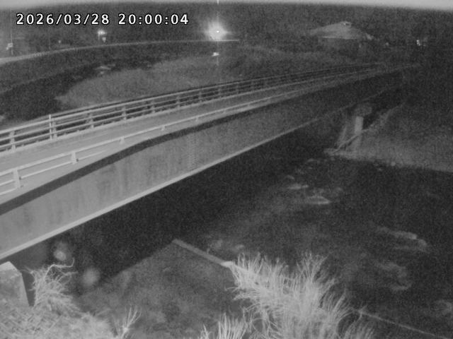 日野川９2026/03/29 3:30:00