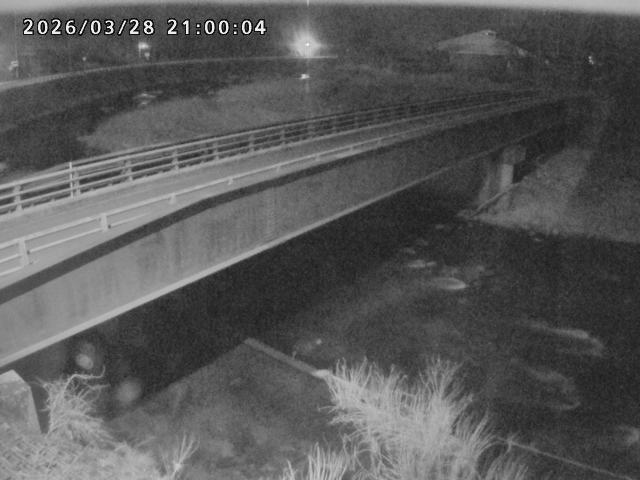 日野川９2026/03/29 3:30:00