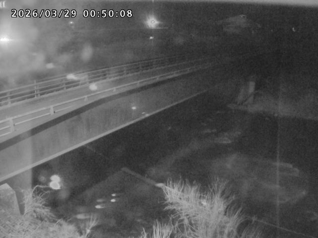 日野川９2026/03/29 3:30:00