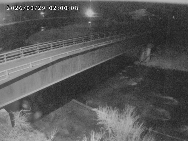 日野川９2026/03/29 3:30:00