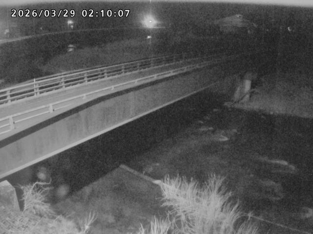 日野川９2026/03/29 3:30:00