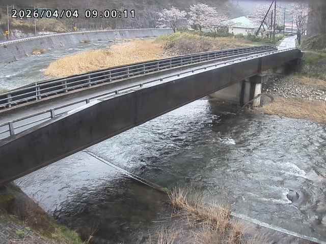 日野川９2026/04/05 8:10:00