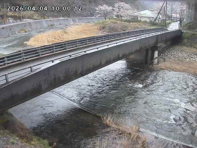 日野川９2026/04/05 8:10:00