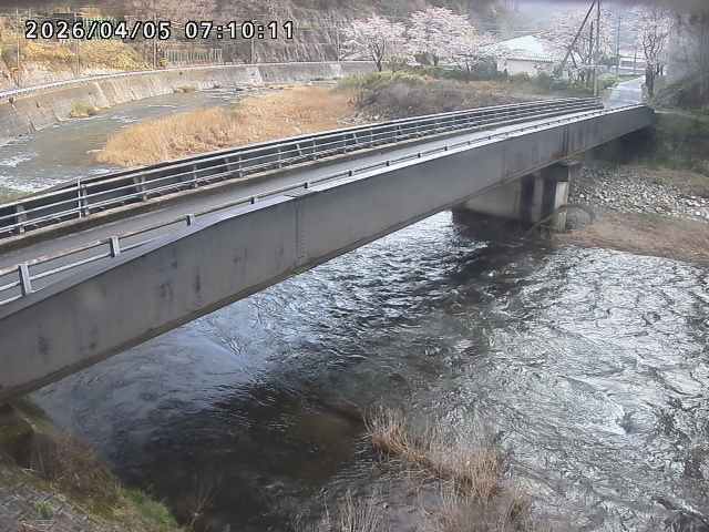 日野川９2026/04/05 8:10:00