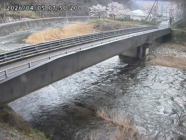 日野川９2026/04/05 8:10:00