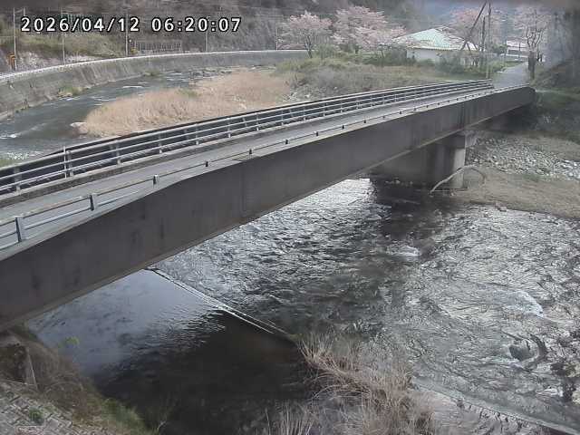 日野川９2026/04/12 9:30:00