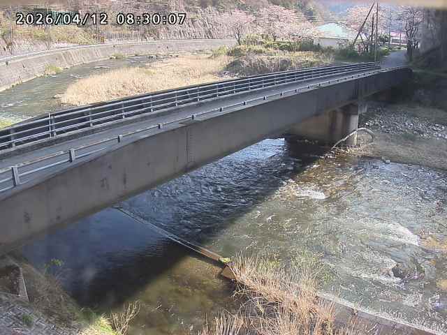 日野川９2026/04/12 9:30:00