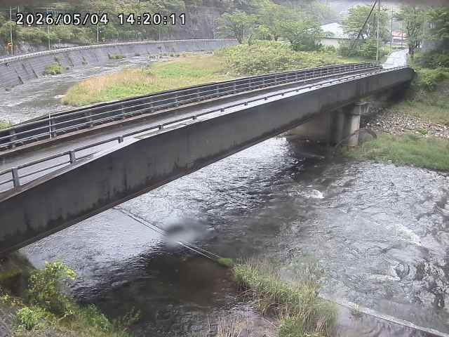 日野川９2026/05/04 17:10:00
