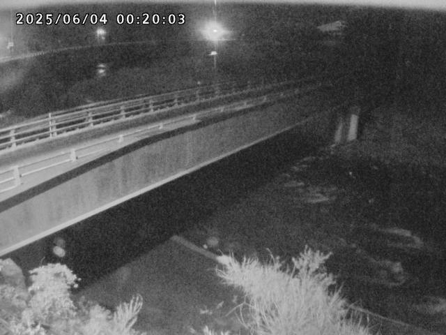 日野川９2025/06/04 3:20:00