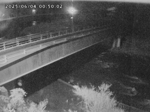 日野川９2025/06/04 3:20:00