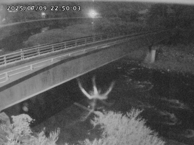 日野川９2025/07/10 1:10:00