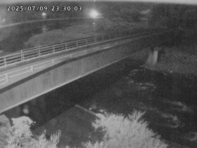 日野川９2025/07/10 1:10:00