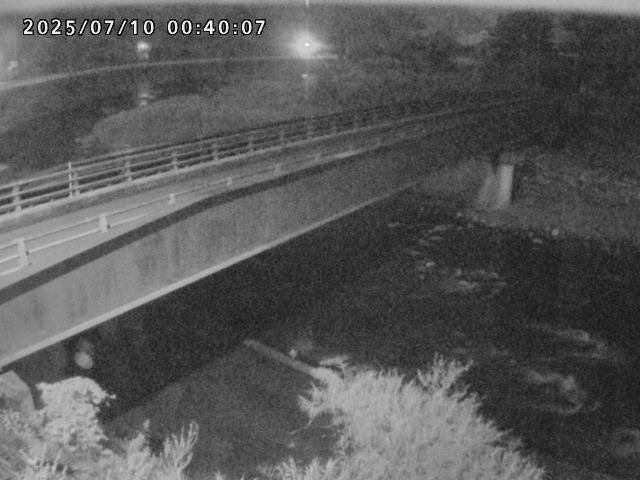 日野川９2025/07/10 1:10:00