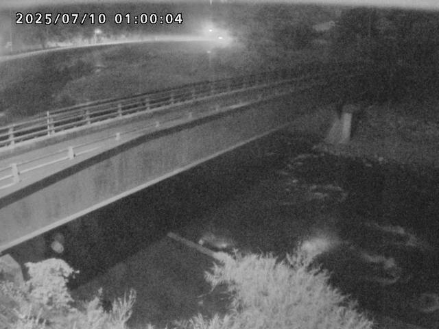 日野川９2025/07/10 1:10:00