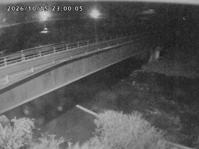 日野川９2026/10/16 5:00:00