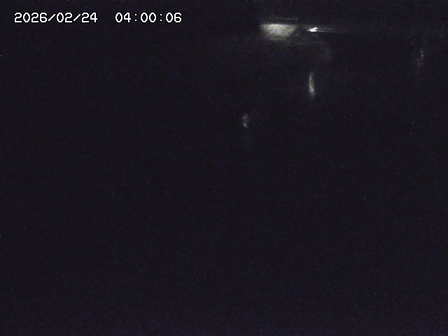 野上川１2026/02/25 4:20:00