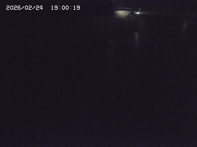 野上川１2026/02/25 4:20:00