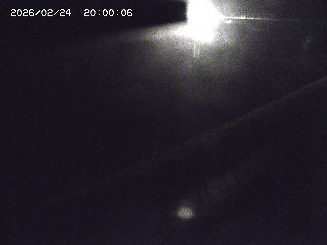 野上川１2026/02/25 4:20:00